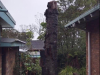 ACRC-Tree-Fern