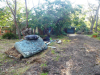 DJC-ACRC-long-neglected-and-trashed