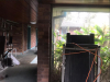 DJC-ACRC-long-neglected-interior