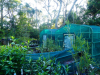 Wildplant-Rescue-6