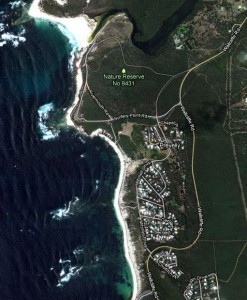 The Habitat Advocate » Blog Archive State Arson of Margaret River ...