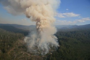 The Habitat Advocate » Blog Archive 'Prescribed Burning' Is A ...