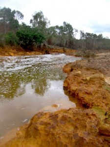 The Habitat Advocate » Blog Archive Dee River pollution from Mount ...