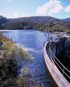 The Habitat Advocate Radioactive Waste Dump Archives - The Habitat Advocate